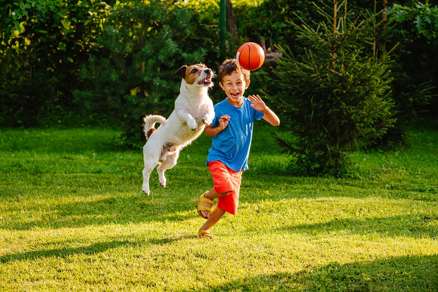 How to boost your dog’s social skills
