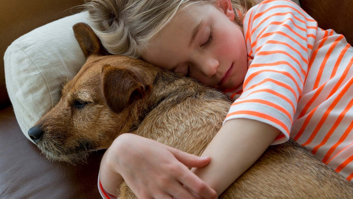 Top 5 questions to consider before adopting a dog