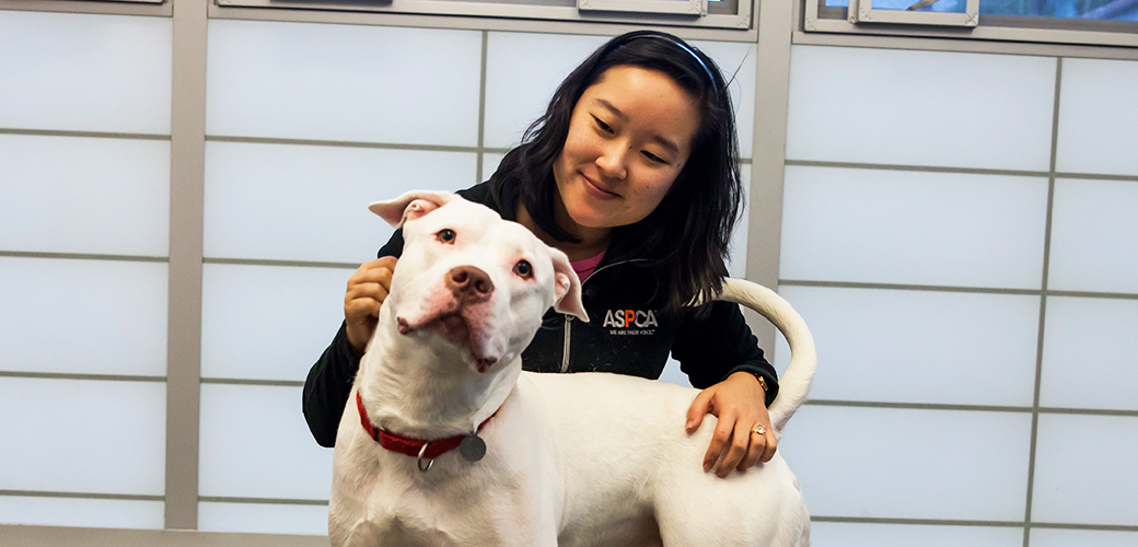 Understanding Your Pet’s Behavior and Body Language