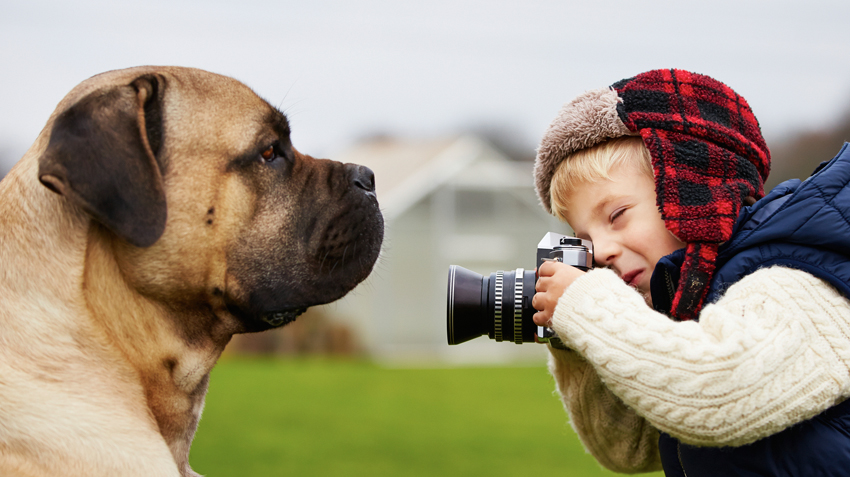 Pet Photography Tips For Capturing The Perfect Shot