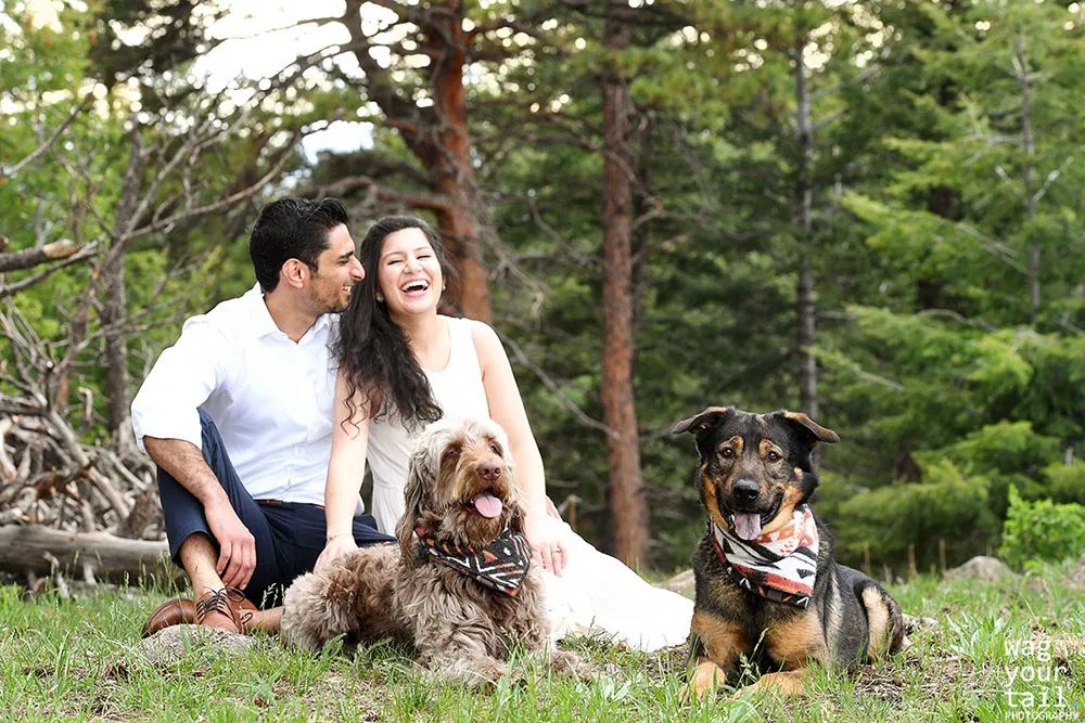 How To Deal With Pet Allergies In The Family