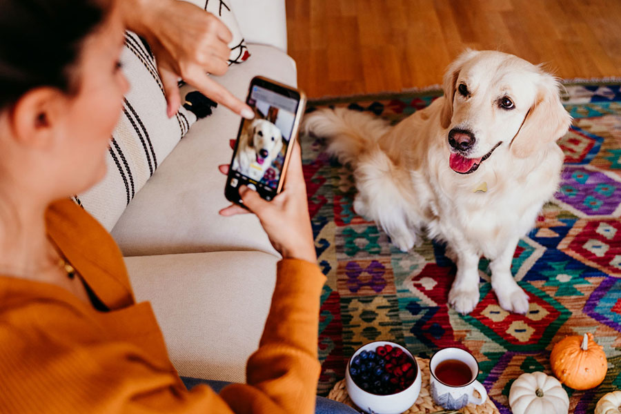 The Impact of Social Media on Pet Ownership Trends