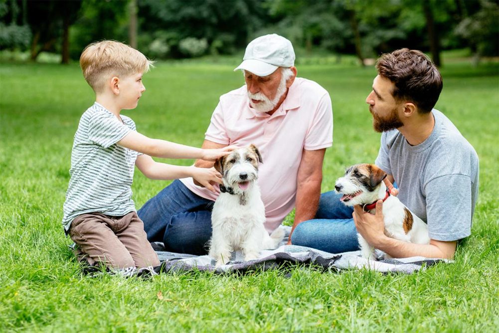 Understanding the Millennial Pet Owner: Why Younger Generations Are Spending More on Their Pets