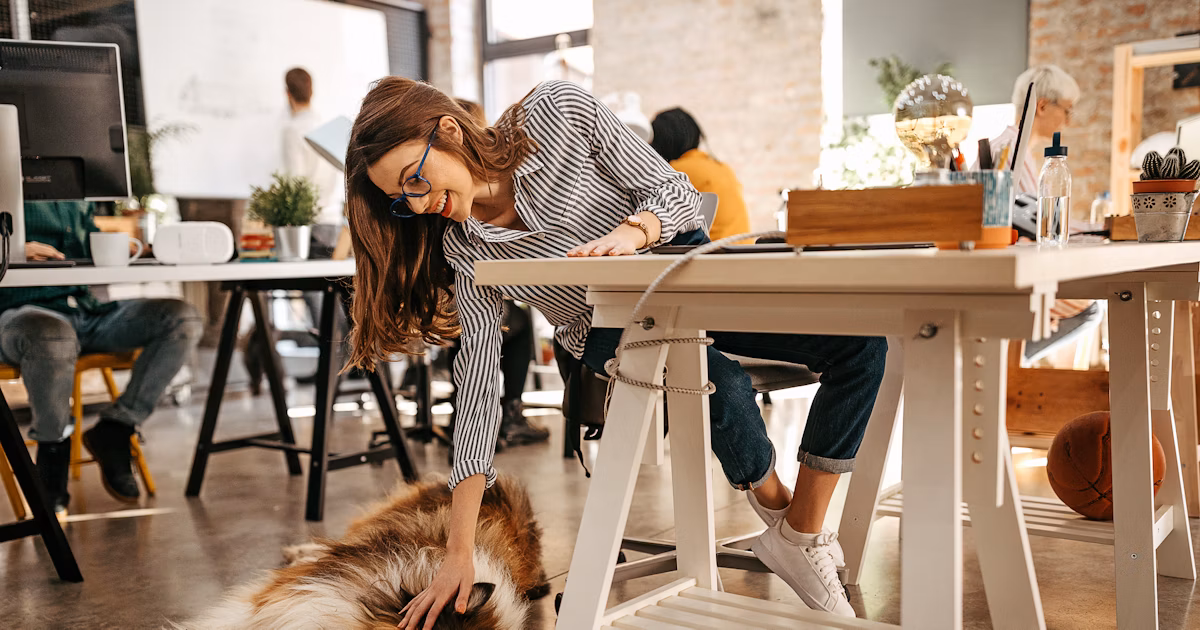 Creating a Pet-Friendly Home Office: Work-Life Balance with Your Furry Colleague