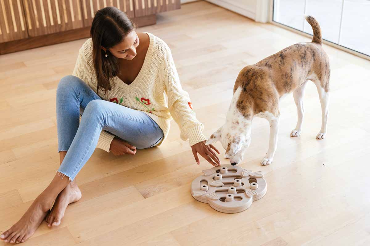 Top 5 Mental Stimulation Games for Dogs to Keep Them Sharp