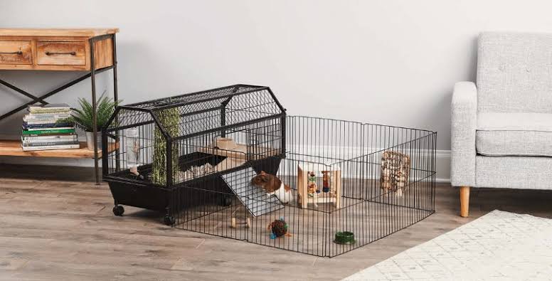 Creating the Perfect Habitat for Your Pet Turtle