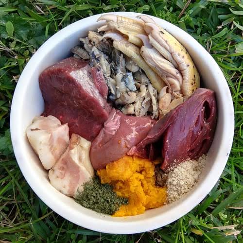 Raw Diet for Dogs: Pros, Cons, and How to Get Started