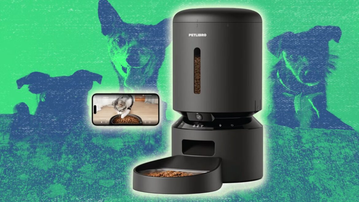 Smart Home Setup for Multi-Pet Households: What You Need to Know