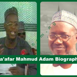 Ja'afar Mahmud Adam Biography