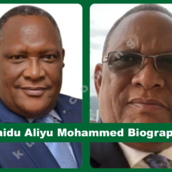 Saidu Aliyu Mohammed Biography