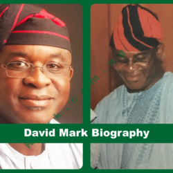David Mark Biography