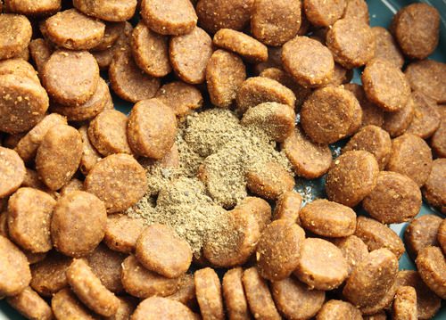 Chews, Dental Powders & Oral Health Strategies for Dogs and Cats