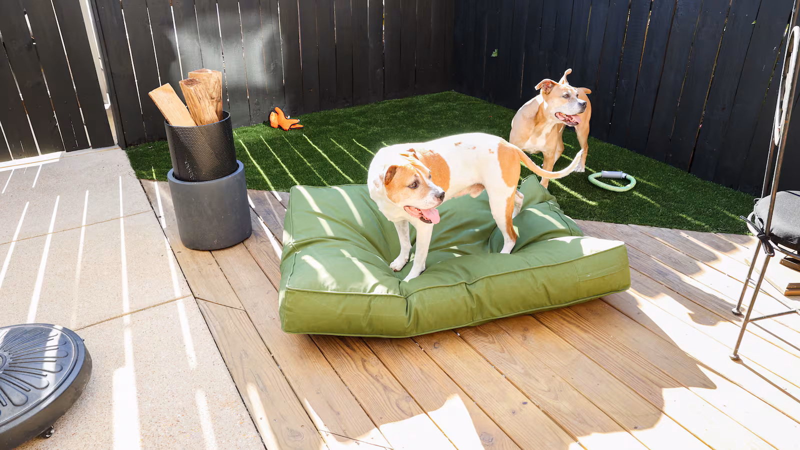 Patios & Outdoor Pet Spaces: How to Build Safe, Stylish Spaces for Dogs & Cats