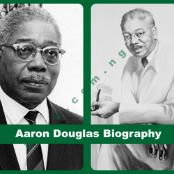 Aaron Douglas Biography