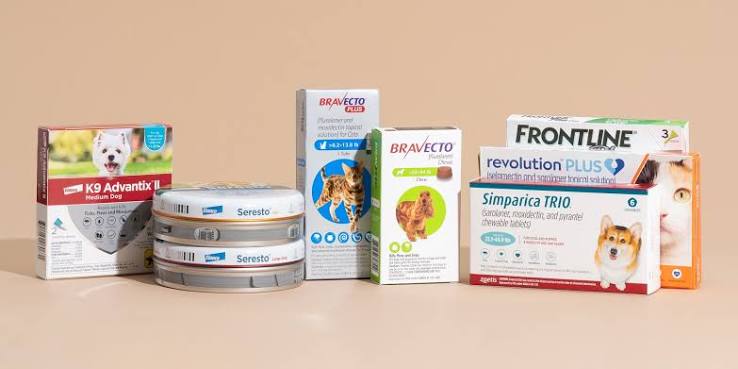Best Flea and Tick Treatments for Dogs: Vet-Recommended Options
