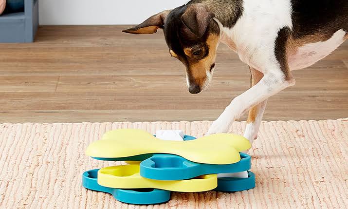 Best Interactive Dog Toys to Reduce Boredom