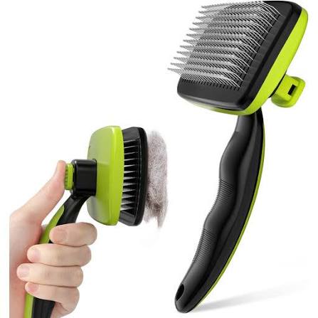 Best Pet Grooming Kits for Home Use